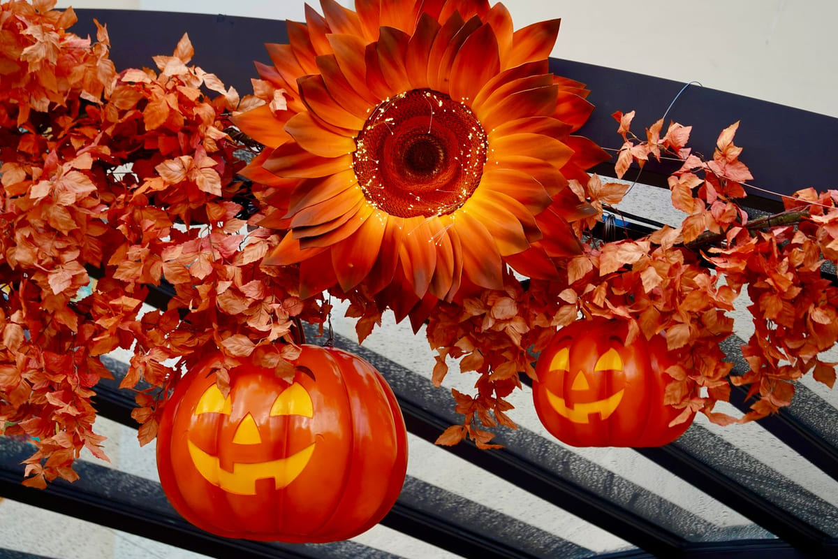 ฮาโลวีน 31 ตุลาคม: ไขปริศนาวันปล่อยผี จาก Samhain สู่ Trick-or-Treat